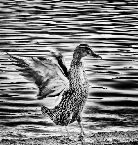 _FA_4708-Edit