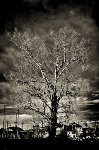 _FA_3199-Edit