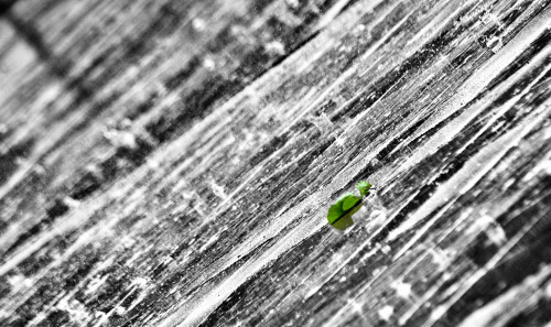 _FA_0669-Edit-Edit