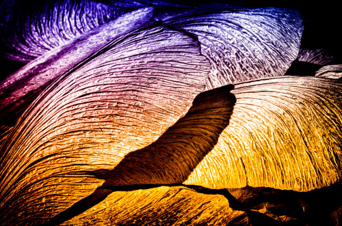 _FA_0732-Edit-Edit