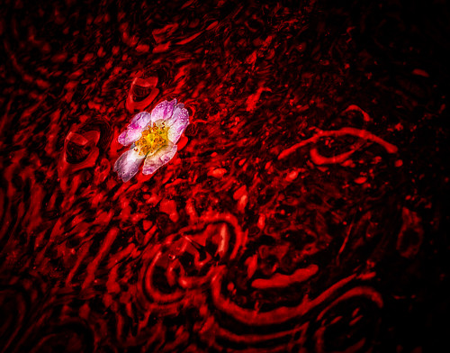 _FA_2323-Edit2