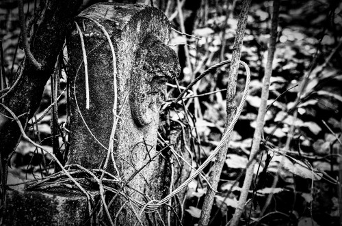 _FA_1101-Edit