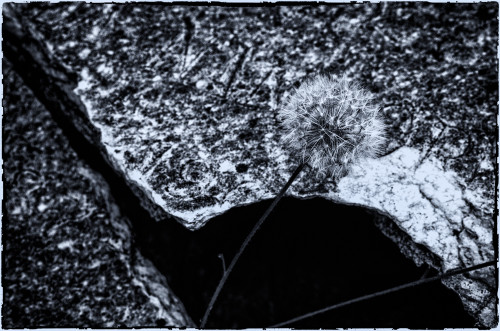 _FA_3546-Edit