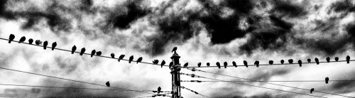 _FA_4441-Edit-Edit