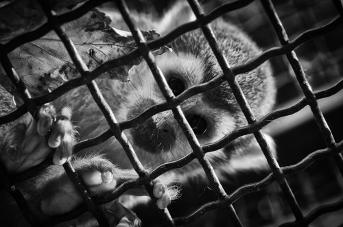 _FA_7339-Edit