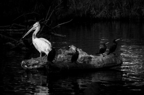 _FA_7396-Edit