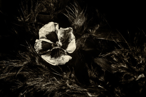_FA_7533-Edit