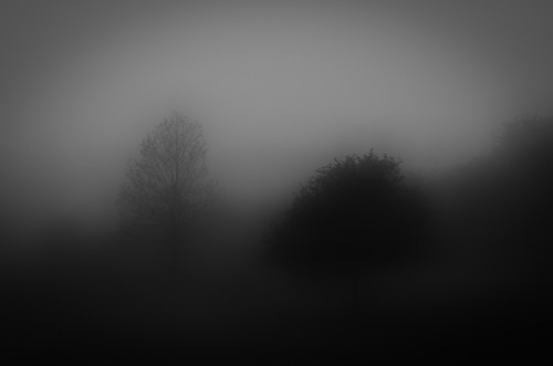 _FA_8130-Edit