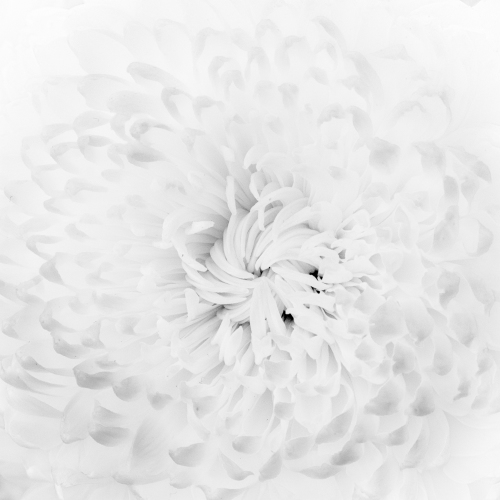 _FA_0127-Edit