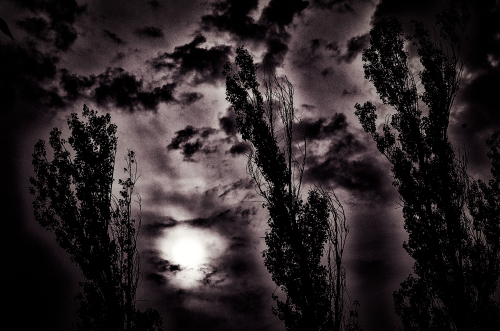 _FA_3472-Edit