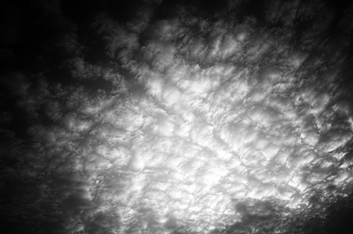 _FA_9952-Edit-2