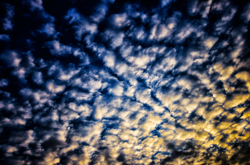 _FA_9952-Edit