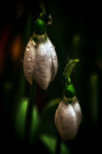 FA__0132-Edit-Edit