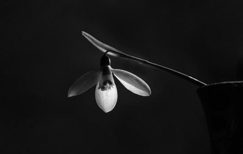 FA__0535-Edit-Edit