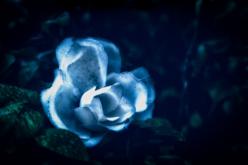 FA__4253-Edit