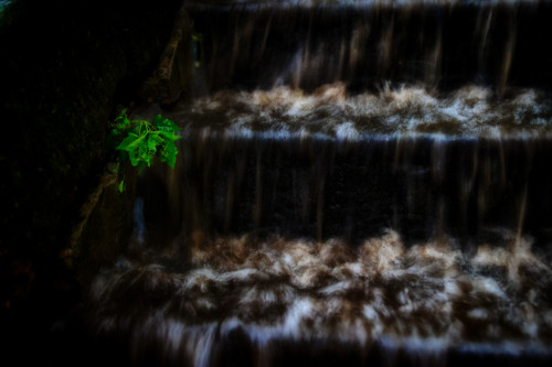 FA__9574-Edit