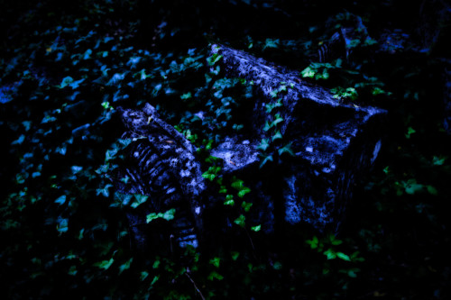 FA__9771-Edit