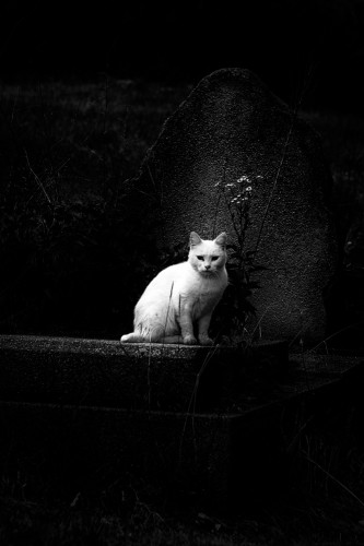 FA__9910-Edit-Edit