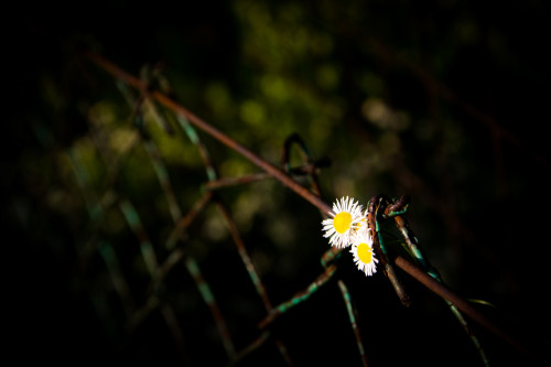 FA__9996-Edit
