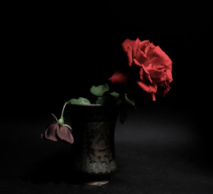 FA__4038-Edit