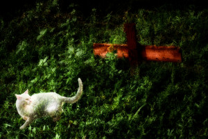 fa__0392b-edit