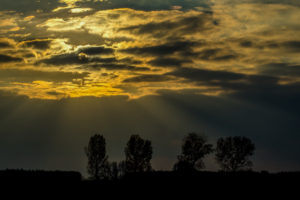 fa__3398-edit