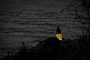 fa__3626-edit