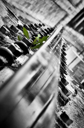 fa_2025-edit-edit