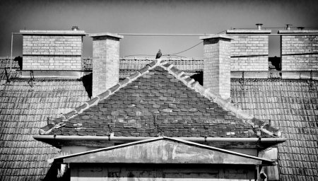 fa_7178-edit