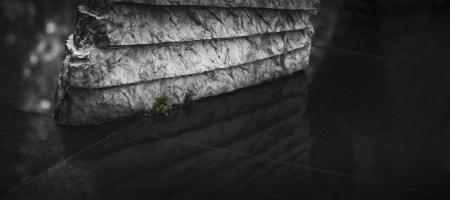 fa_3277-edit