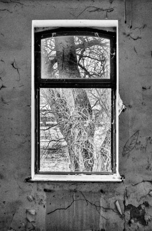 fa_1598-edit