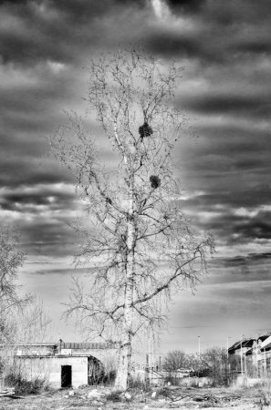 fa_1609-edit