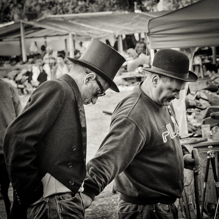 fa_1392-edit-edit