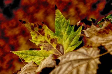 fa_4000-edit