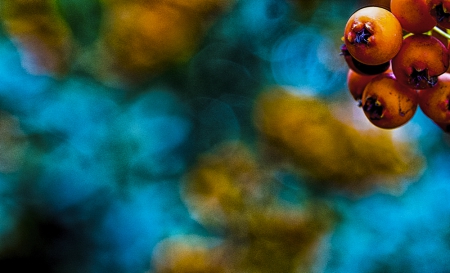 fa_4008-edit-edit