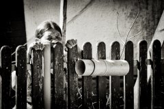 FA__8943-Edit