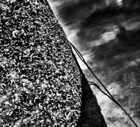 fa_8567-edit