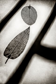 FA__2622-Edit-Edit