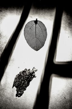 FA__2643-Edit-Edit