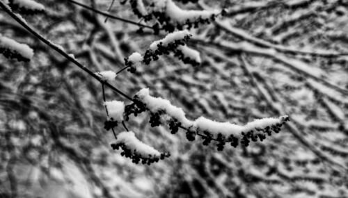 FA__0660-Edit